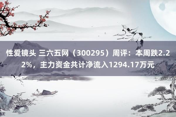 性爱镜头 三六五网（300295）周评：本周跌2.22%，主力资金共计净流入1294.17万元