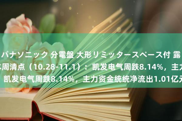 パナソニック 分電盤 大形リミッタースペース付 露出・半埋込両用形 本周清点（10.28-11.1）：凯发电气周跌8.14%，主力资金统统净流出1.01亿元