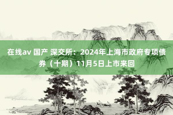 在线av 国产 深交所：2024年上海市政府专项债券（十期）11月5日上市来回