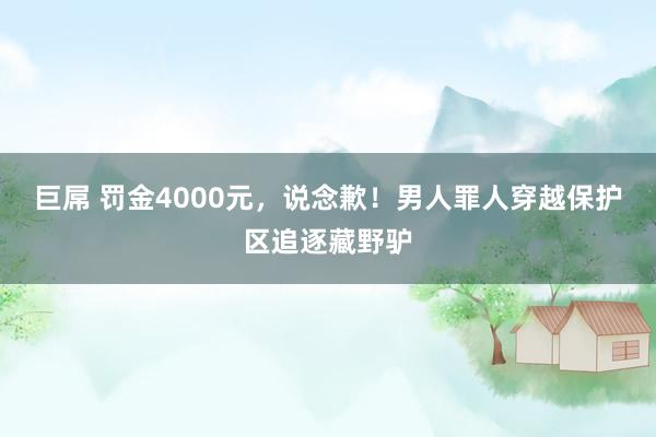 巨屌 罚金4000元，说念歉！男人罪人穿越保护区追逐藏野驴