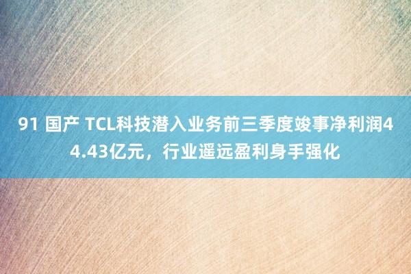 91 国产 TCL科技潜入业务前三季度竣事净利润44.43亿元，行业遥远盈利身手强化