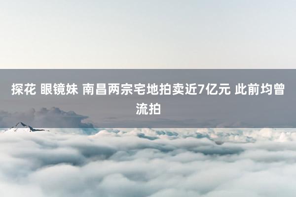 探花 眼镜妹 南昌两宗宅地拍卖近7亿元 此前均曾流拍