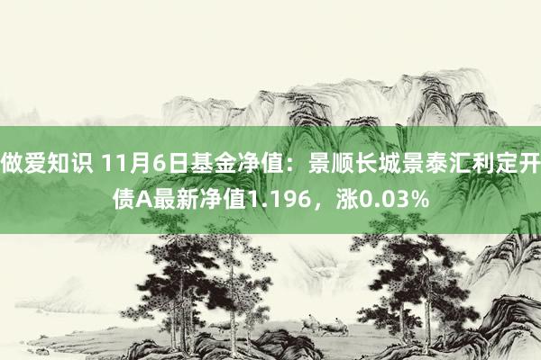 做爱知识 11月6日基金净值：景顺长城景泰汇利定开债A最新净值1.196，涨0.03%