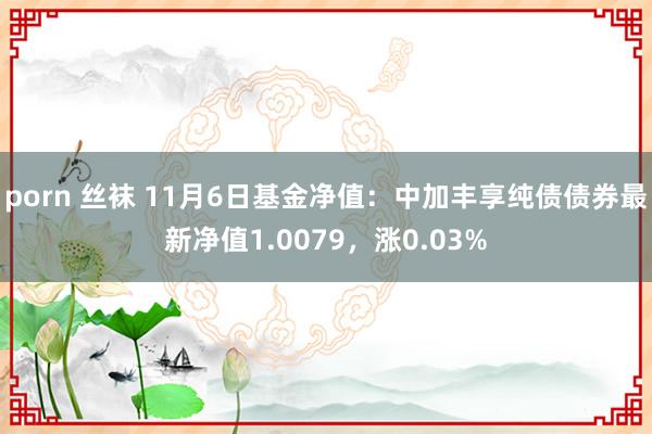 porn 丝袜 11月6日基金净值：中加丰享纯债债券最新净值1.0079，涨0.03%