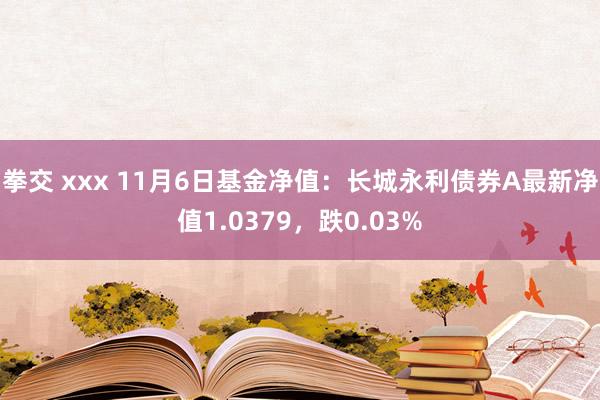 拳交 xxx 11月6日基金净值：长城永利债券A最新净值1.0379，跌0.03%