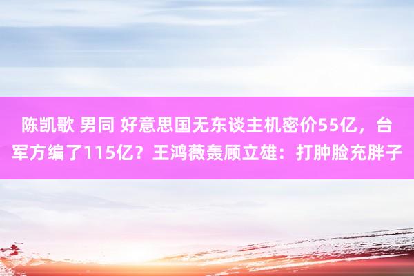 陈凯歌 男同 好意思国无东谈主机密价55亿，台军方编了115亿？王鸿薇轰顾立雄：打肿脸充胖子