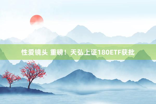 性爱镜头 重磅！天弘上证180ETF获批