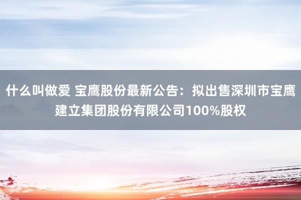 什么叫做爱 宝鹰股份最新公告：拟出售深圳市宝鹰建立集团股份有限公司100%股权