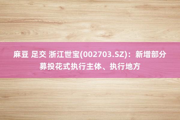 麻豆 足交 浙江世宝(002703.SZ)：新增部分募投花式执行主体、执行地方