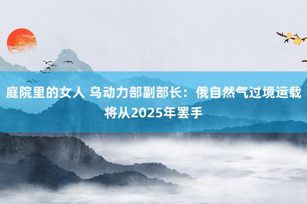 庭院里的女人 乌动力部副部长：俄自然气过境运载将从2025年罢手