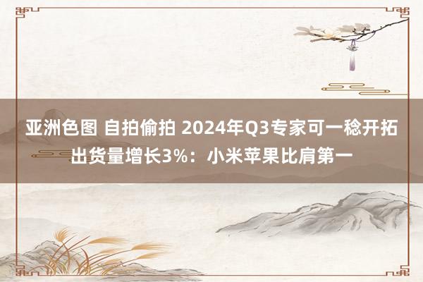 亚洲色图 自拍偷拍 2024年Q3专家可一稔开拓出货量增长3%：小米苹果比肩第一