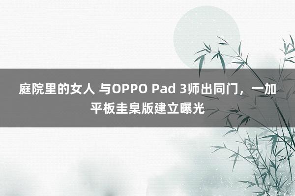 庭院里的女人 与OPPO Pad 3师出同门，一加平板圭臬版建立曝光