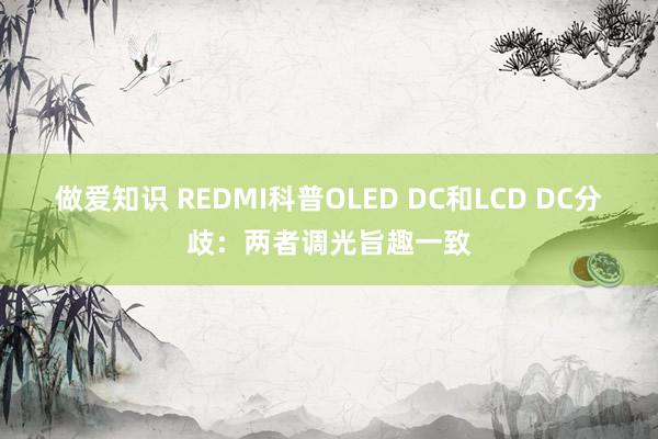 做爱知识 REDMI科普OLED DC和LCD DC分歧：两者调光旨趣一致