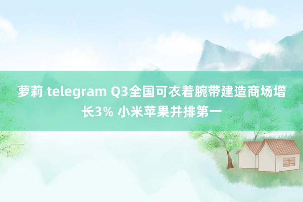 萝莉 telegram Q3全国可衣着腕带建造商场增长3% 小米苹果并排第一