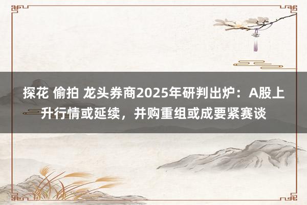 探花 偷拍 龙头券商2025年研判出炉：A股上升行情或延续，并购重组或成要紧赛谈