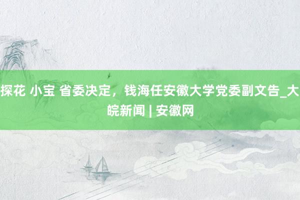 探花 小宝 省委决定，钱海任安徽大学党委副文告_大皖新闻 | 安徽网