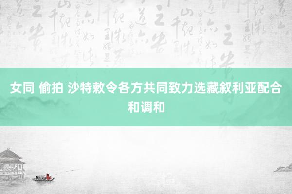 女同 偷拍 沙特敕令各方共同致力选藏叙利亚配合和调和