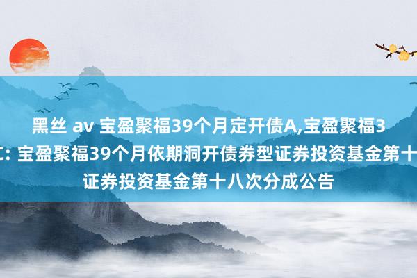 黑丝 av 宝盈聚福39个月定开债A，宝盈聚福39个月定开债C: 宝盈聚福39个月依期洞开债券型证券投资基金第十八次分成公告