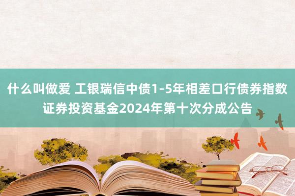 什么叫做爱 工银瑞信中债1-5年相差口行债券指数证券投资基金2024年第十次分成公告