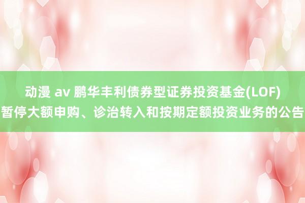 动漫 av 鹏华丰利债券型证券投资基金(LOF)暂停大额申购、诊治转入和按期定额投资业务的公告