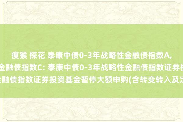 瘦猴 探花 泰康中债0-3年战略性金融债指数A，泰康中债0-3年战略性金融债指数C: 泰康中债0-3年战略性金融债指数证券投资基金暂停大额申购(含转变转入及定投)业务公告