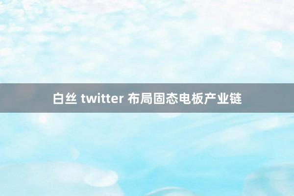 白丝 twitter 布局固态电板产业链