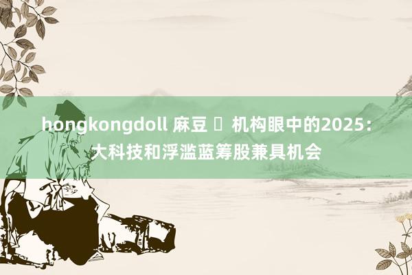 hongkongdoll 麻豆 ​机构眼中的2025：大科技和浮滥蓝筹股兼具机会