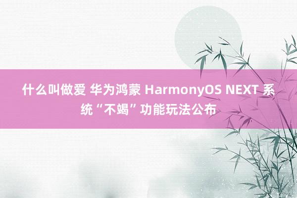 什么叫做爱 华为鸿蒙 HarmonyOS NEXT 系统“不竭”功能玩法公布