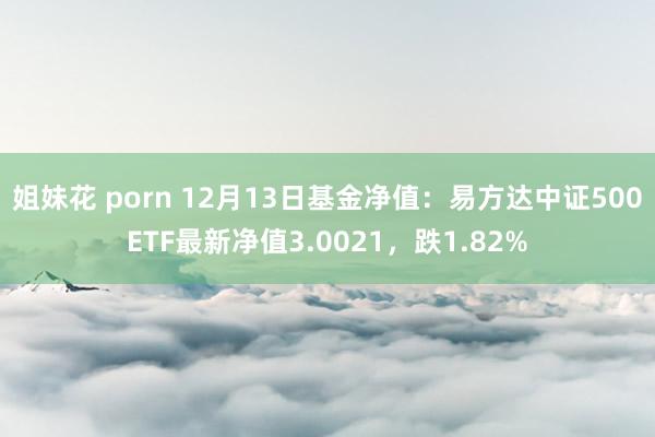 姐妹花 porn 12月13日基金净值：易方达中证500ETF最新净值3.0021，跌1.82%