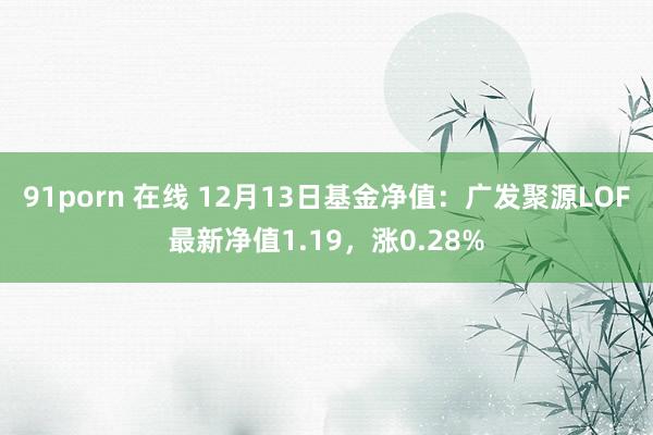 91porn 在线 12月13日基金净值：广发聚源LOF最新净值1.19，涨0.28%