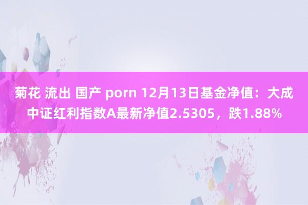 菊花 流出 国产 porn 12月13日基金净值：大成中证红利指数A最新净值2.5305，跌1.88%