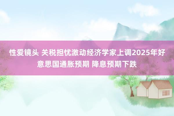 性爱镜头 关税担忧激动经济学家上调2025年好意思国通胀预期 降息预期下跌