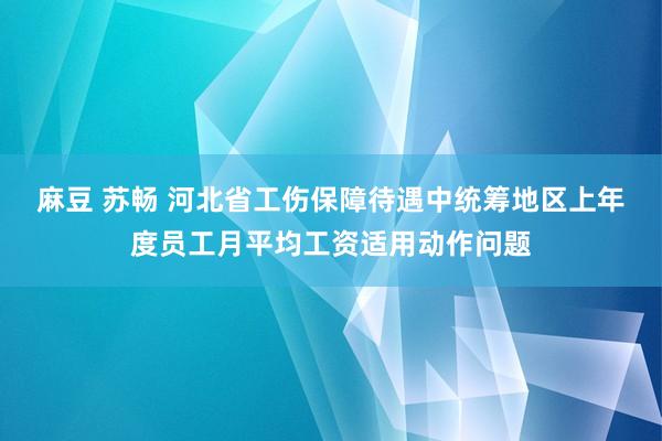 麻豆 苏畅 河北省工伤保障待遇中统筹地区上年度员工月平均工资适用动作问题