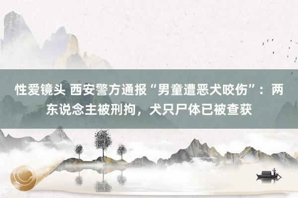 性爱镜头 西安警方通报“男童遭恶犬咬伤”：两东说念主被刑拘，犬只尸体已被查获