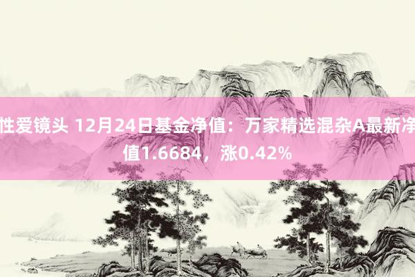 性爱镜头 12月24日基金净值：万家精选混杂A最新净值1.6684，涨0.42%