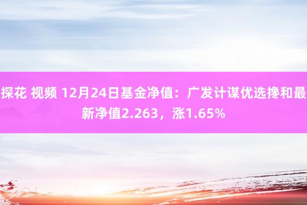 探花 视频 12月24日基金净值：广发计谋优选搀和最新净值2.263，涨1.65%