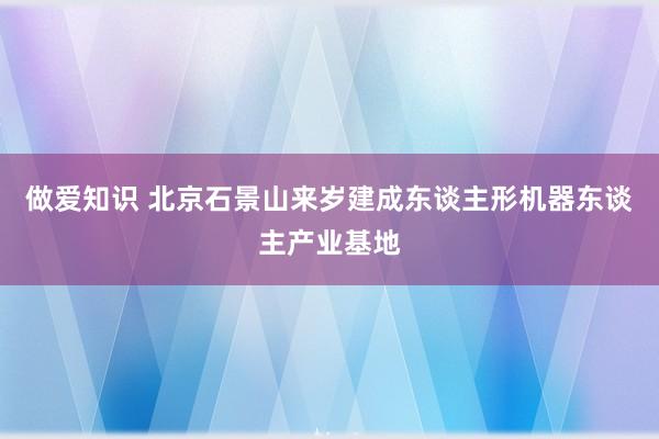 做爱知识 北京石景山来岁建成东谈主形机器东谈主产业基地