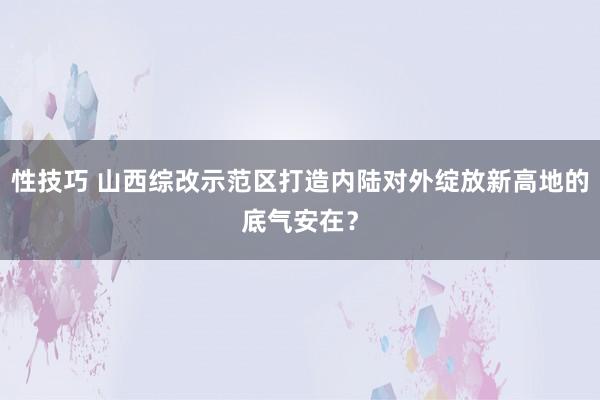 性技巧 山西综改示范区打造内陆对外绽放新高地的底气安在？