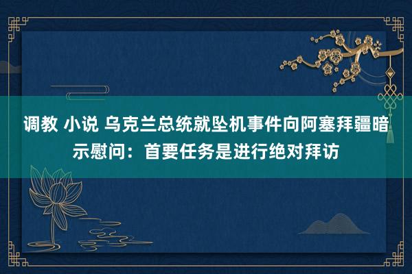 调教 小说 乌克兰总统就坠机事件向阿塞拜疆暗示慰问：首要任务是进行绝对拜访