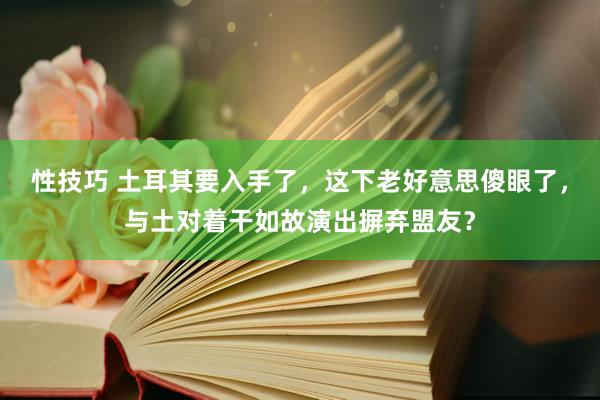 性技巧 土耳其要入手了，这下老好意思傻眼了，与土对着干如故演出摒弃盟友？