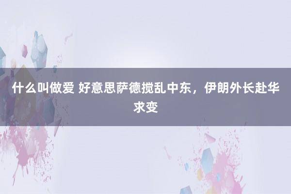 什么叫做爱 好意思萨德搅乱中东，伊朗外长赴华求变