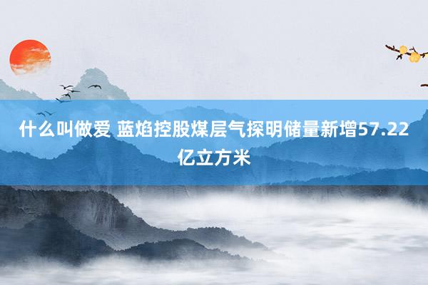 什么叫做爱 蓝焰控股煤层气探明储量新增57.22亿立方米