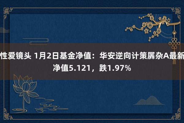 性爱镜头 1月2日基金净值：华安逆向计策羼杂A最新净值5.121，跌1.97%