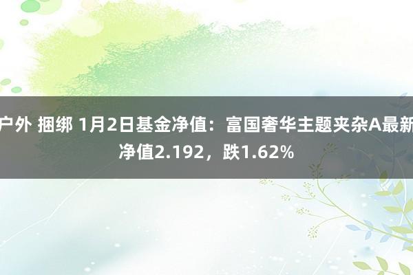 户外 捆绑 1月2日基金净值：富国奢华主题夹杂A最新净值2.192，跌1.62%