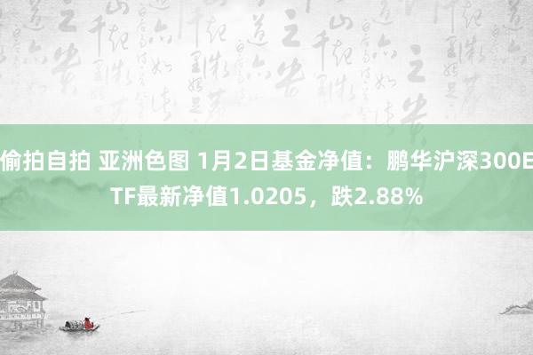 偷拍自拍 亚洲色图 1月2日基金净值：鹏华沪深300ETF最新净值1.0205，跌2.88%