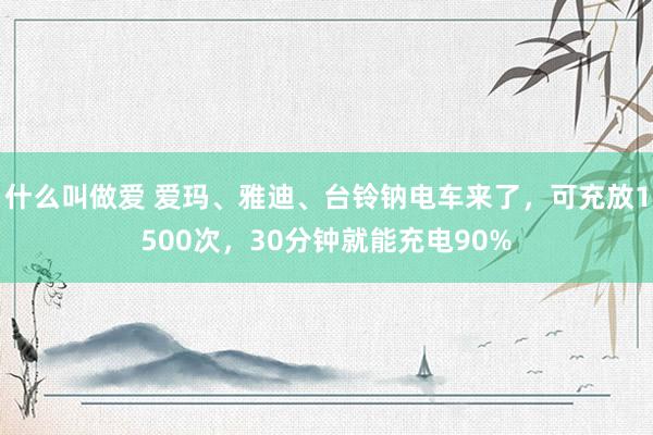 什么叫做爱 爱玛、雅迪、台铃钠电车来了，可充放1500次，30分钟就能充电90%