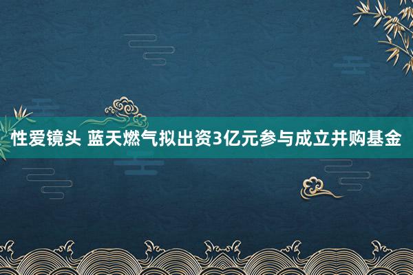 性爱镜头 蓝天燃气拟出资3亿元参与成立并购基金