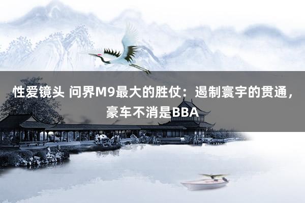 性爱镜头 问界M9最大的胜仗：遏制寰宇的贯通，豪车不消是BBA