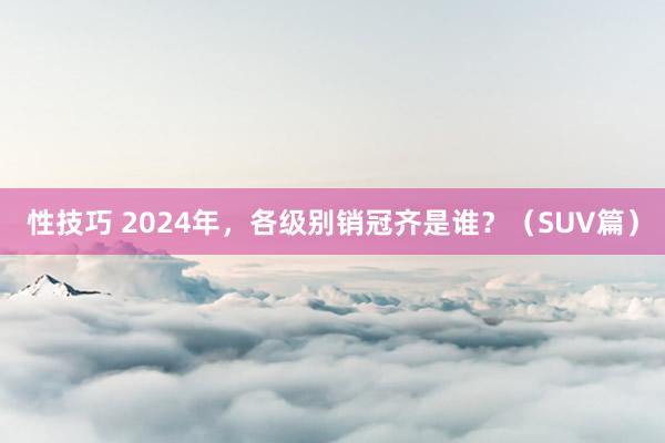 性技巧 2024年，各级别销冠齐是谁？（SUV篇）