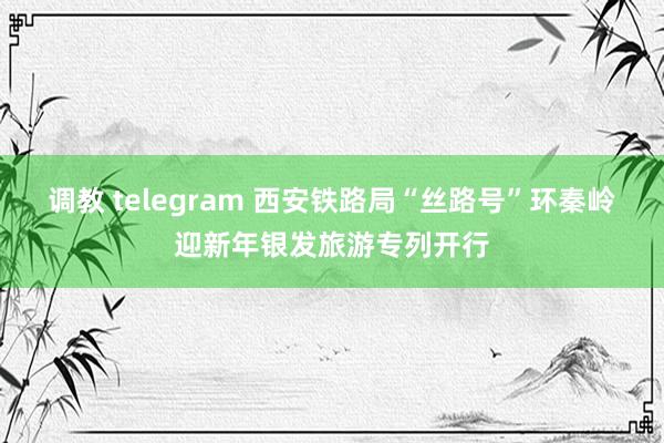 调教 telegram 西安铁路局“丝路号”环秦岭迎新年银发旅游专列开行